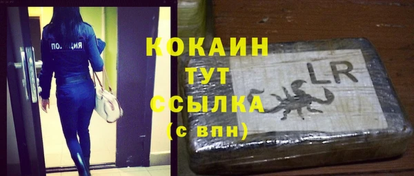 дживик Володарск