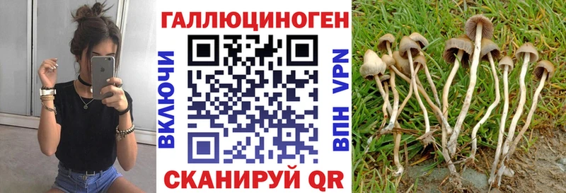 наркотики  kraken ТОР  Псилоцибиновые грибы прущие грибы  Одинцово 